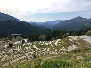 棚田.jpg