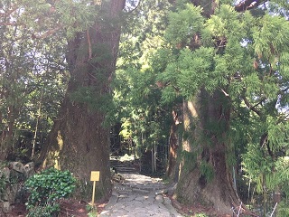 熊野古道.jpg