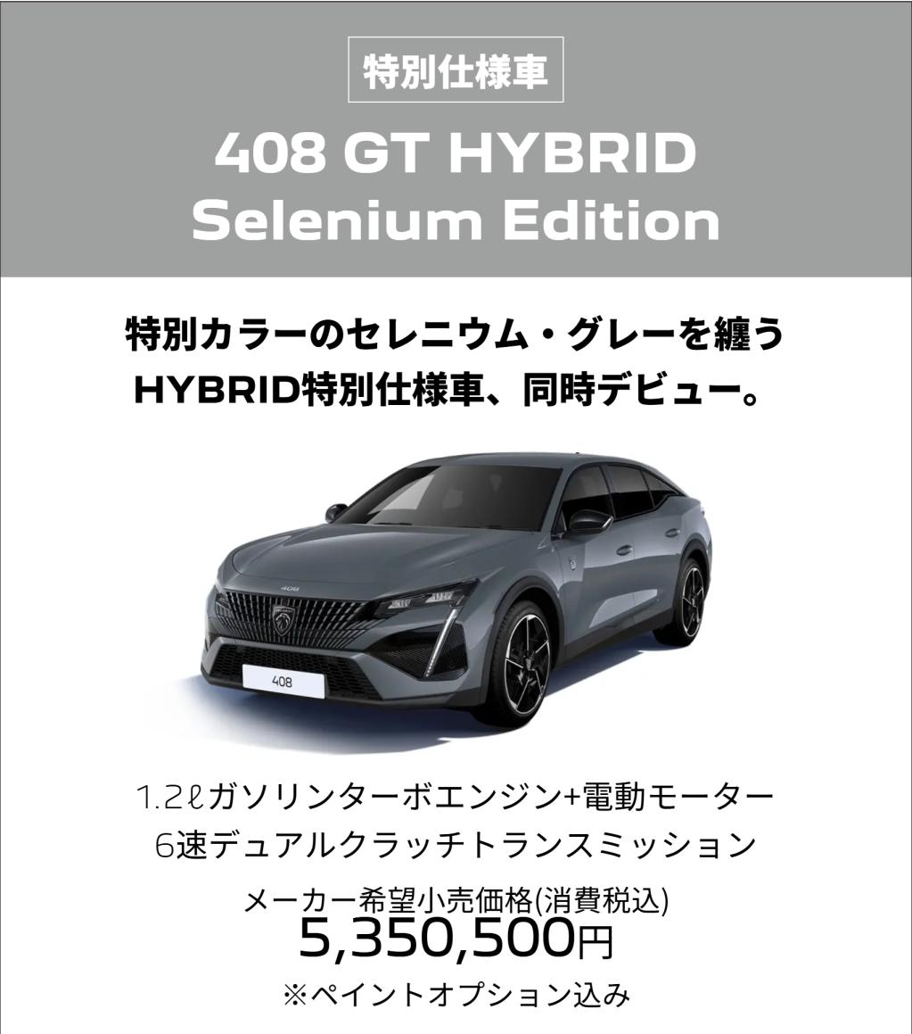 特別仕様車登場！